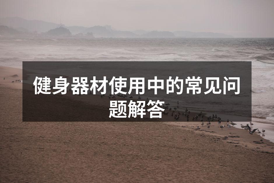 健身器材的多样选择