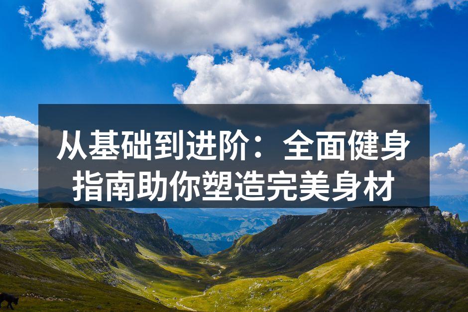 从基础到进阶：全面健身指南助你塑造完美身材